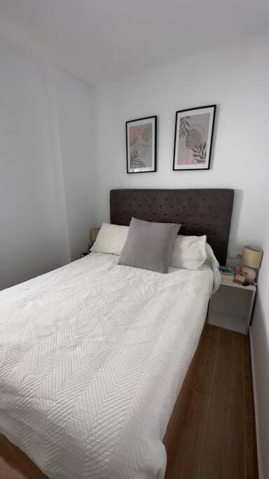 Rockside Residentes Suites La Linea La Línea de la Concepción Buitenkant foto